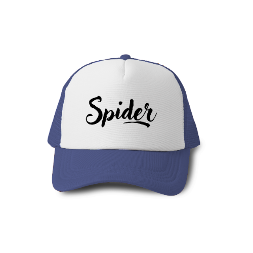 Spider lovers gift design, spider design