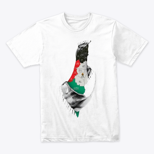 Free Palestine t-shirt
