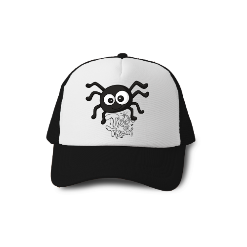 Un chapeau cadeau pour un amoureux des animaux, un chapeau d'araignée