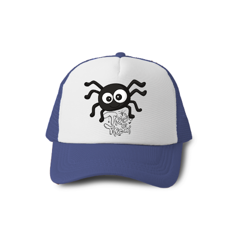 Un chapeau cadeau pour un amoureux des animaux, un chapeau d'araignée