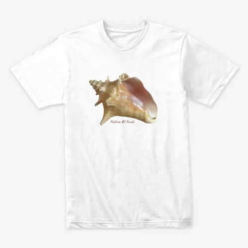 Sea shell Tee-shirt