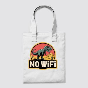 NO WIFI