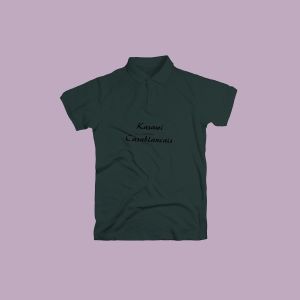 تيشرت صيفي للشباب polo
