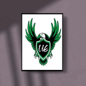 ULTRAS EAGLES 06 raja club